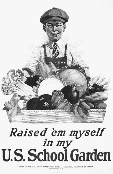As the United States entered World War I, attaining a better-prepared labor force and higher agricultural yields became part of the war effort. © SWIM INK/CORBIS. REPRODUCED BY PERMISSION.