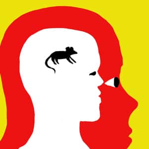 Flowers for algernon essays