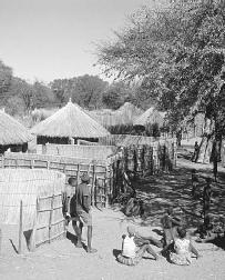 Bayei Village in Northern Botswana may provide a view of Africa similar to that experienced by the characters in The Poisonwood Bible