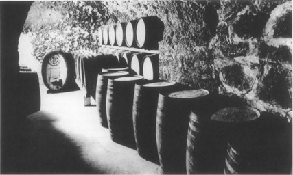 The Cask Of Amontillado Summary - ENotes.com