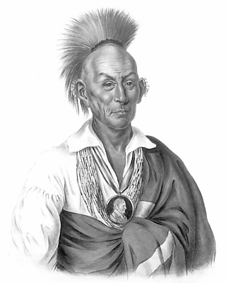 0111203676-Black_Hawk.jpg
