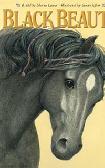 Black Beauty Overview